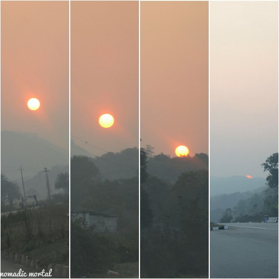 Photo of A little gem called Kaziranga! 17/17 by Shwetha