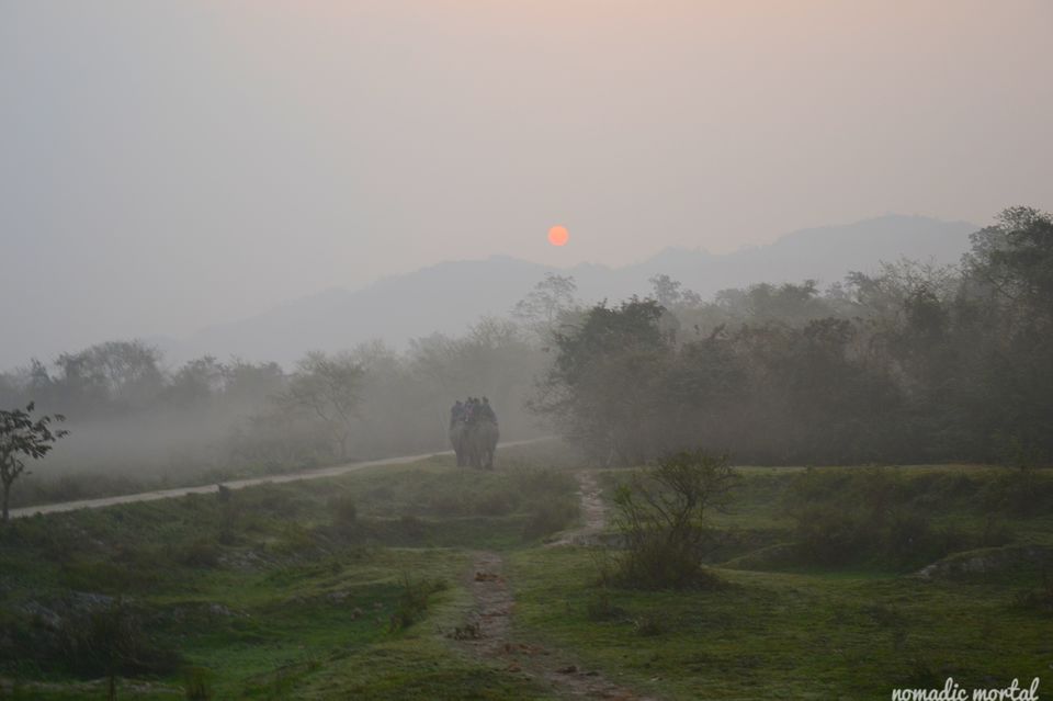 Photo of A little gem called Kaziranga! 14/17 by Shwetha
