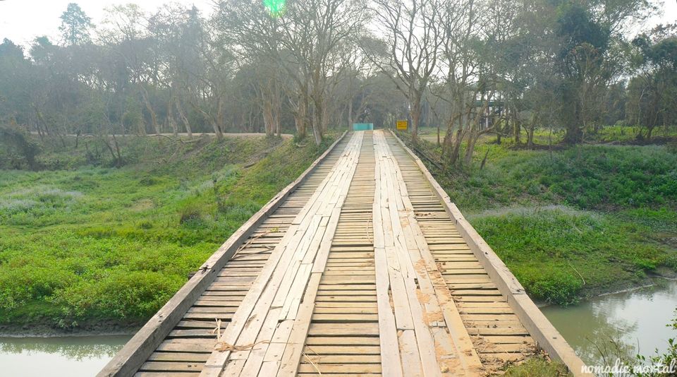 Photo of A little gem called Kaziranga! 16/17 by Shwetha