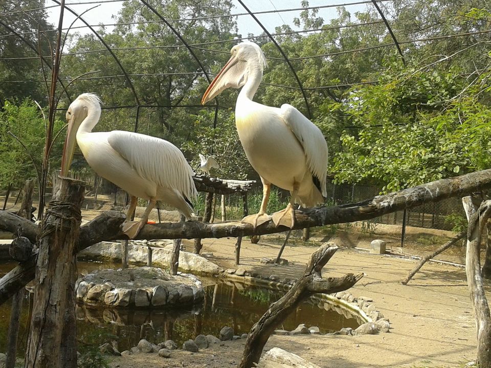 Photo of 12 hours trip in hyderabad. 11/17 by Vinay