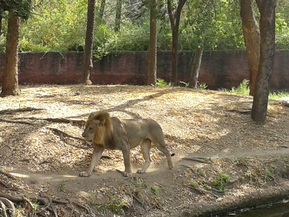 Photo of 12 hours trip in hyderabad. 10/17 by Vinay