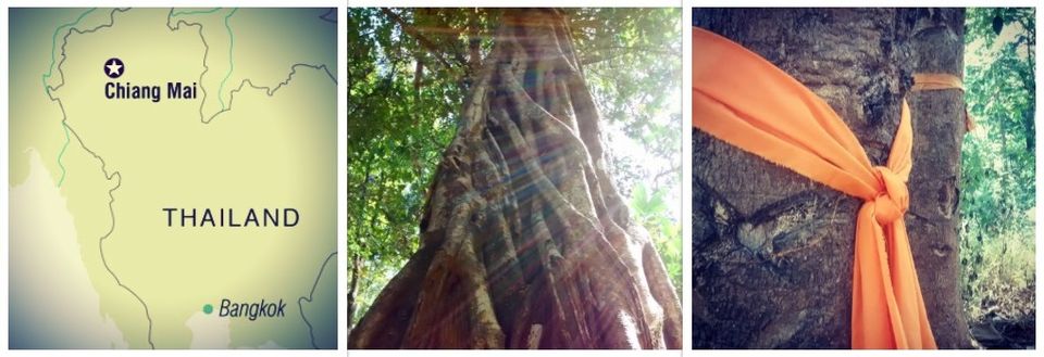 Photo of The North is worth remembering - Chiang Mai 8/14 by maitlis