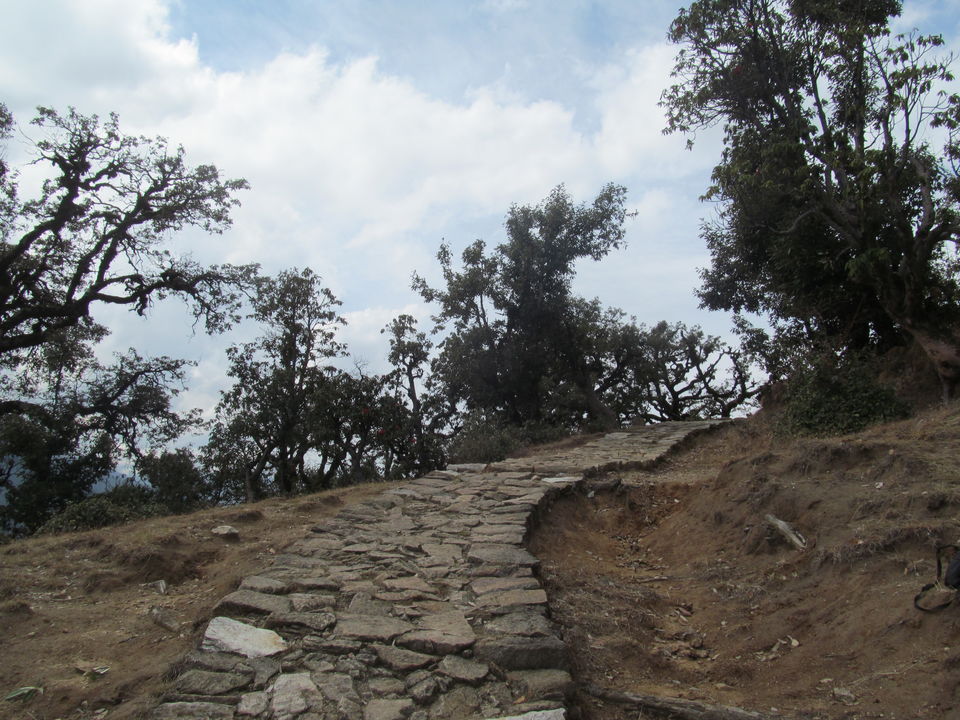 Photo of Exploring the Himalayas - Deoriatal Chandrashila Trek 39/63 by Sahil Raut