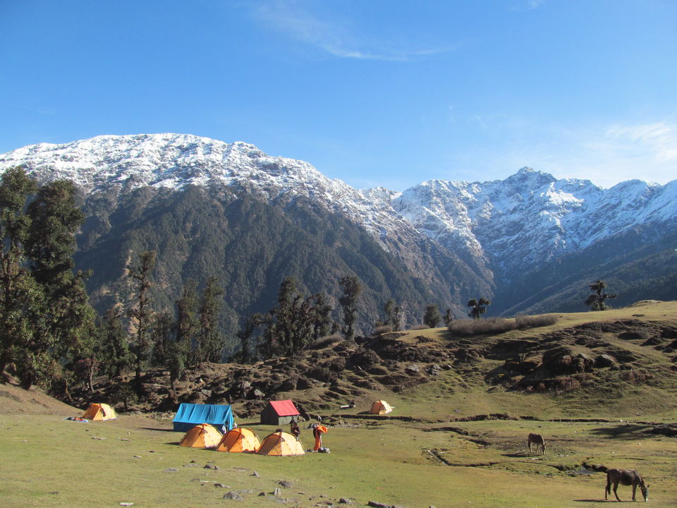 Photo of Exploring the Himalayas - Deoriatal Chandrashila Trek 49/63 by Sahil Raut