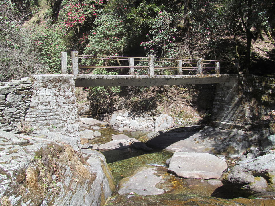 Photo of Exploring the Himalayas - Deoriatal Chandrashila Trek 51/63 by Sahil Raut