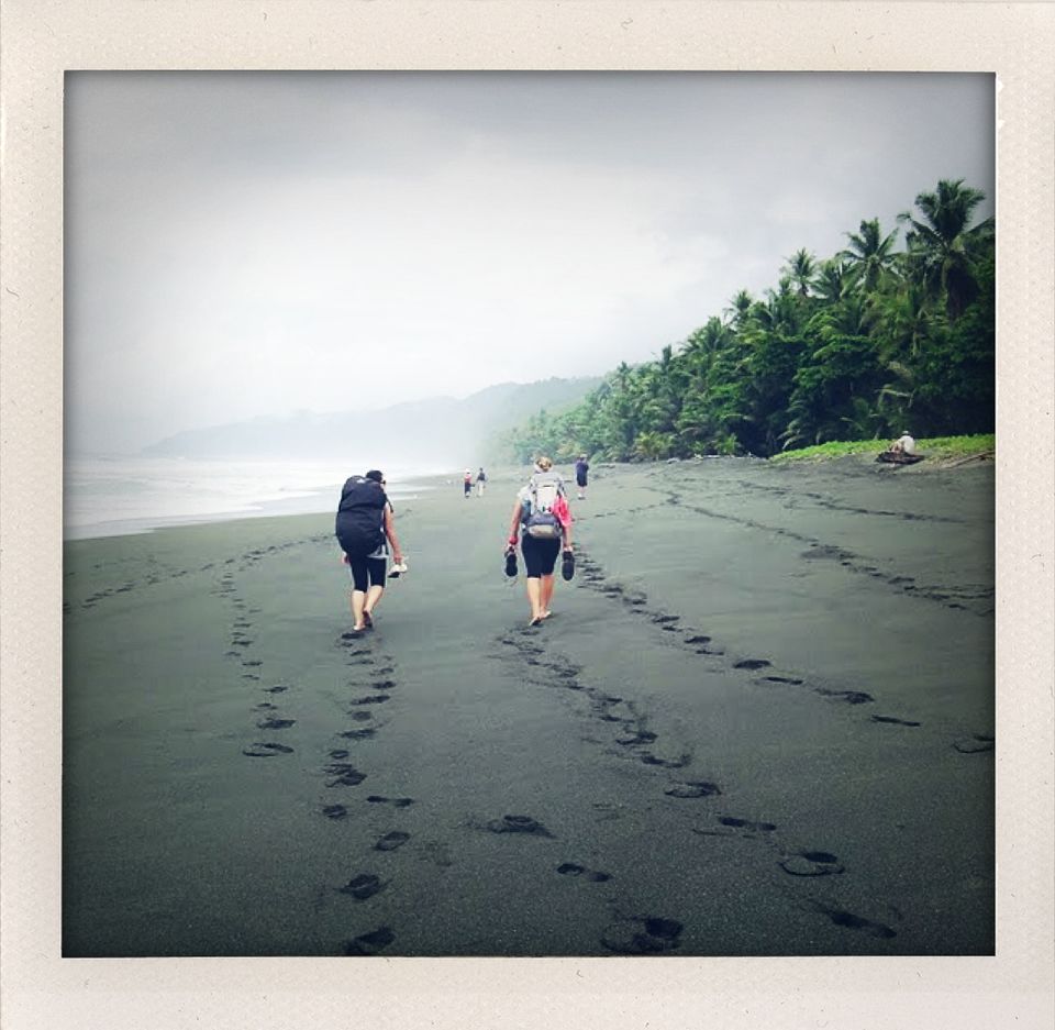 Photo of Trekking in the Jungle of Corcovado National Park, Costa Rica! 4/15 by Hot Toddies Unlimited