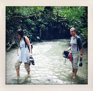 Photo of Trekking in the Jungle of Corcovado National Park, Costa Rica! 8/15 by Hot Toddies Unlimited
