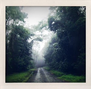 Photo of Trekking in the Jungle of Corcovado National Park, Costa Rica! 15/15 by Hot Toddies Unlimited