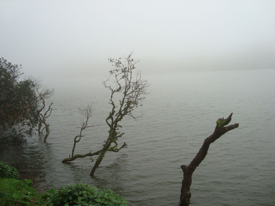 Photo of Highest Rainfall Places in India 5/8 by Divya