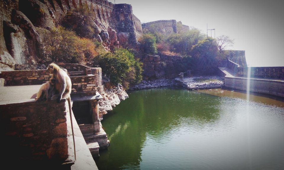 Photo of Rajasthan -Land of Kings, 6 Cities 11 Days NetSpent 15K! 10/30 by Rohit