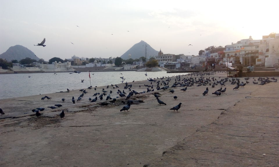 Photo of Rajasthan -Land of Kings, 6 Cities 11 Days NetSpent 15K! 19/30 by Rohit