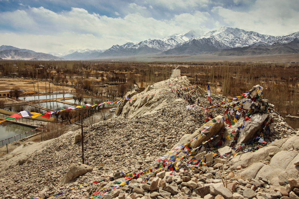 Photo of Ladakh - Of Deserts and Mountains 10/141 by Vikas Singh 
