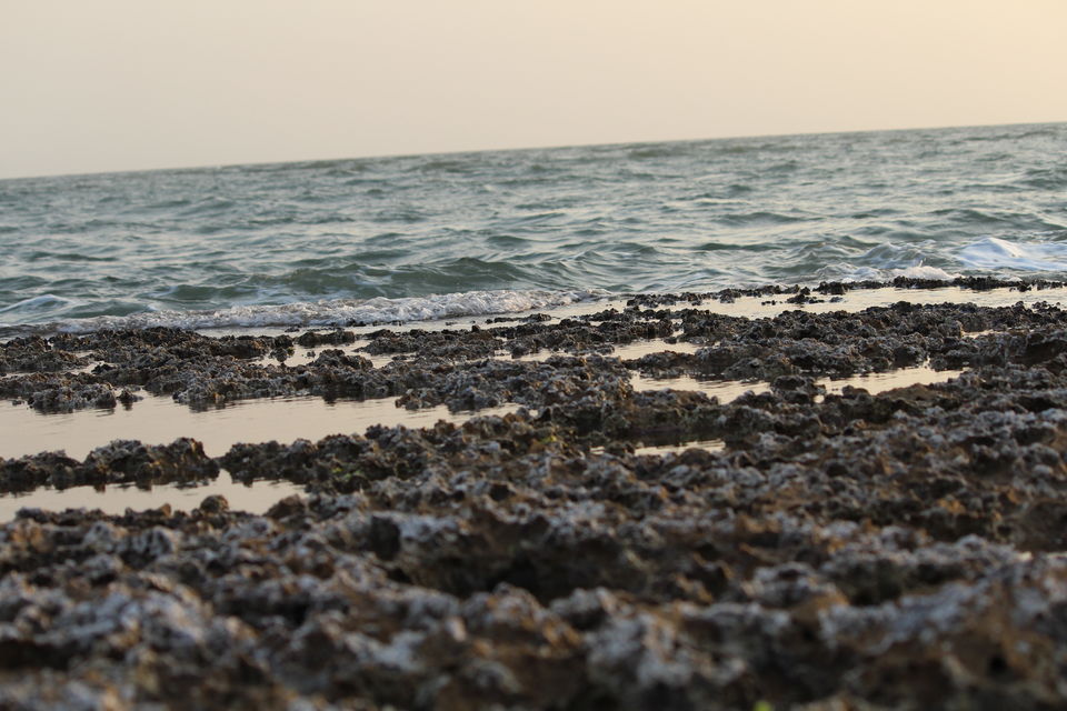 Photo of Junagadh to Diu and Sasan Gir 12/13 by Preet Javiya