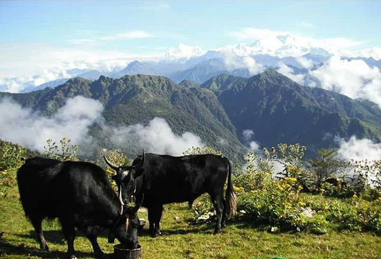 Photo of RIDE THE SILK!! 8/9 by Pranoy Saha