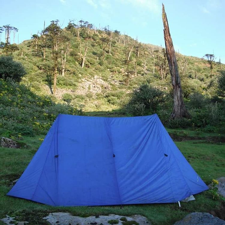 Photo of RIDE THE SILK!! 9/9 by Pranoy Saha