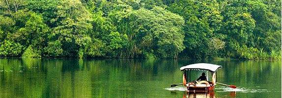 Photo of Wayanad, Kerala, India by Nikhila Kanakamedala