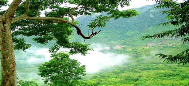 Photo of Araku Valley, Andhra Pradesh, India by Nikhila Kanakamedala