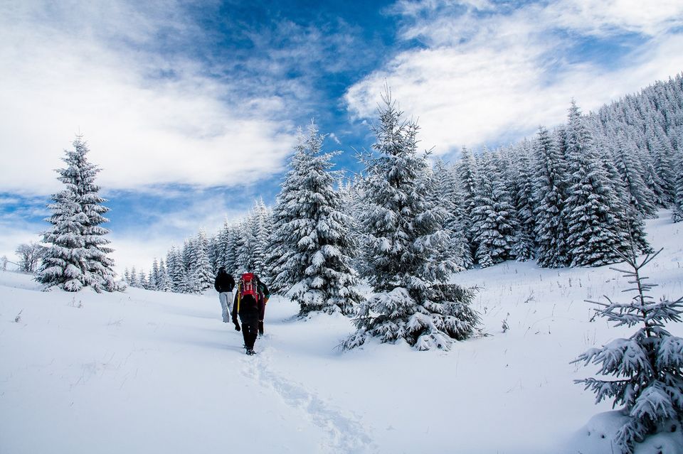 Photo of Strenuous winter hike in Mala Fatra National park 5/14 by Martin_Slovakation