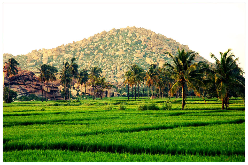 Photo of Hippie island- HAMPI 6/15 by Swathi Mudhunuri