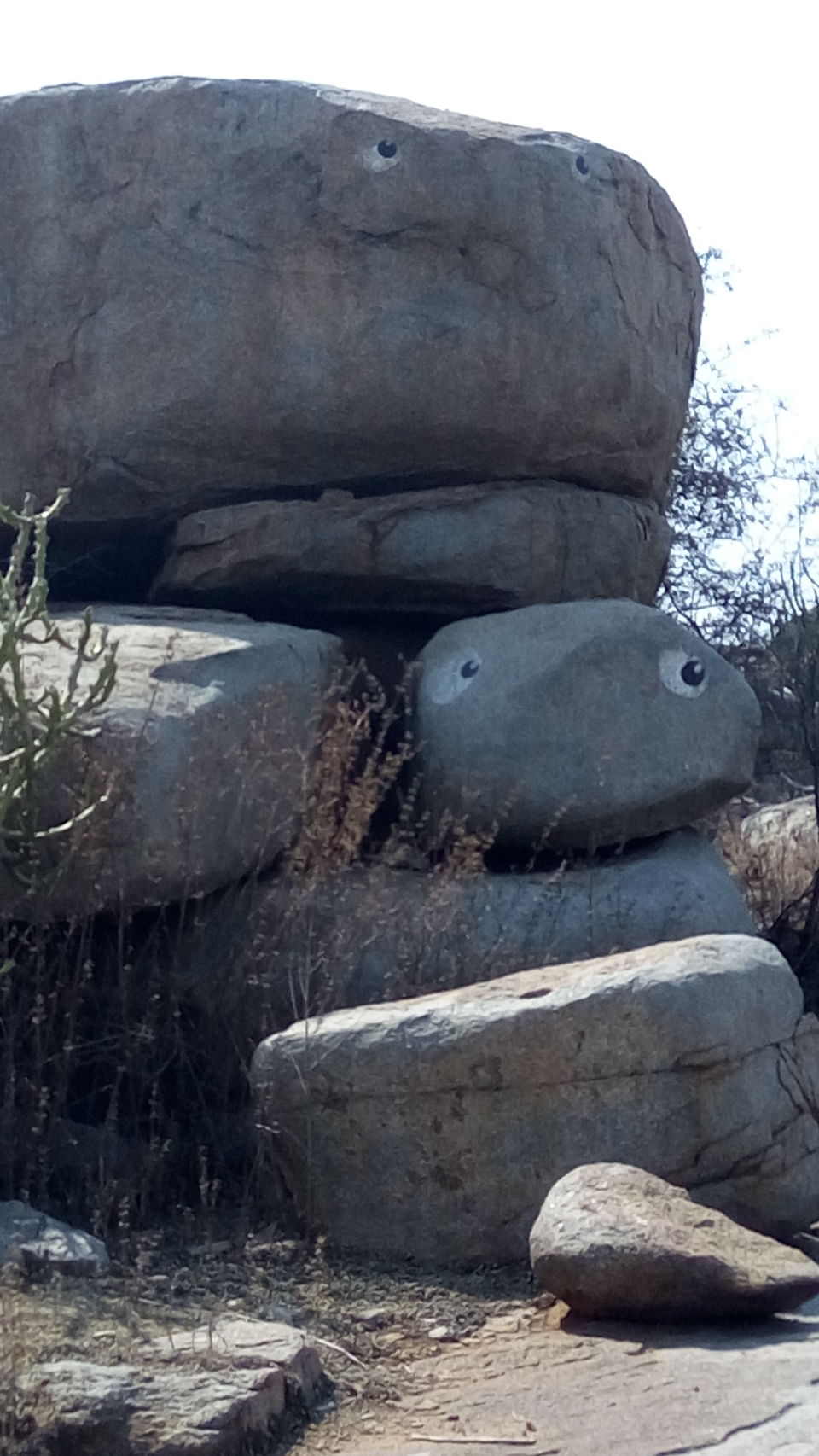 Photo of Hampi- The other side of the river 5/6 by tanya sinha