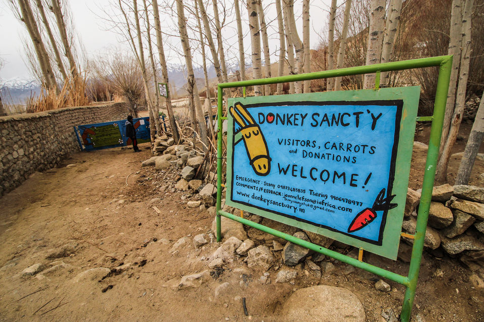 Photo of Ladakh - Of Deserts and Mountains 129/141 by Vikas Singh 