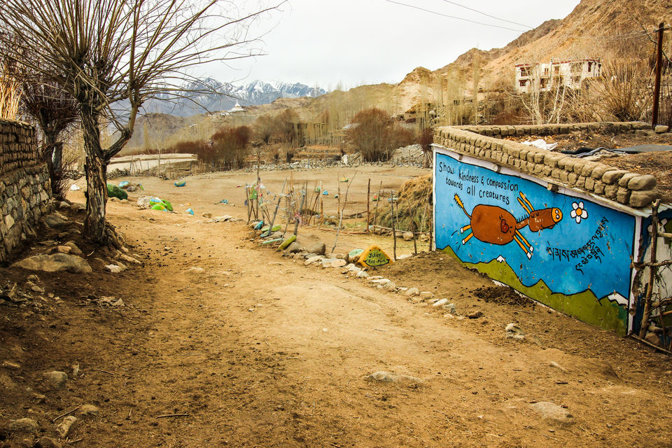 Photo of Ladakh - Of Deserts and Mountains 130/141 by Vikas Singh 