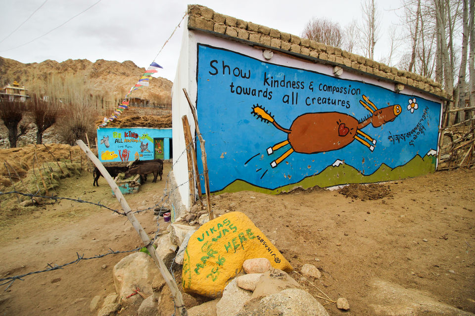 Photo of Ladakh - Of Deserts and Mountains 134/141 by Vikas Singh 