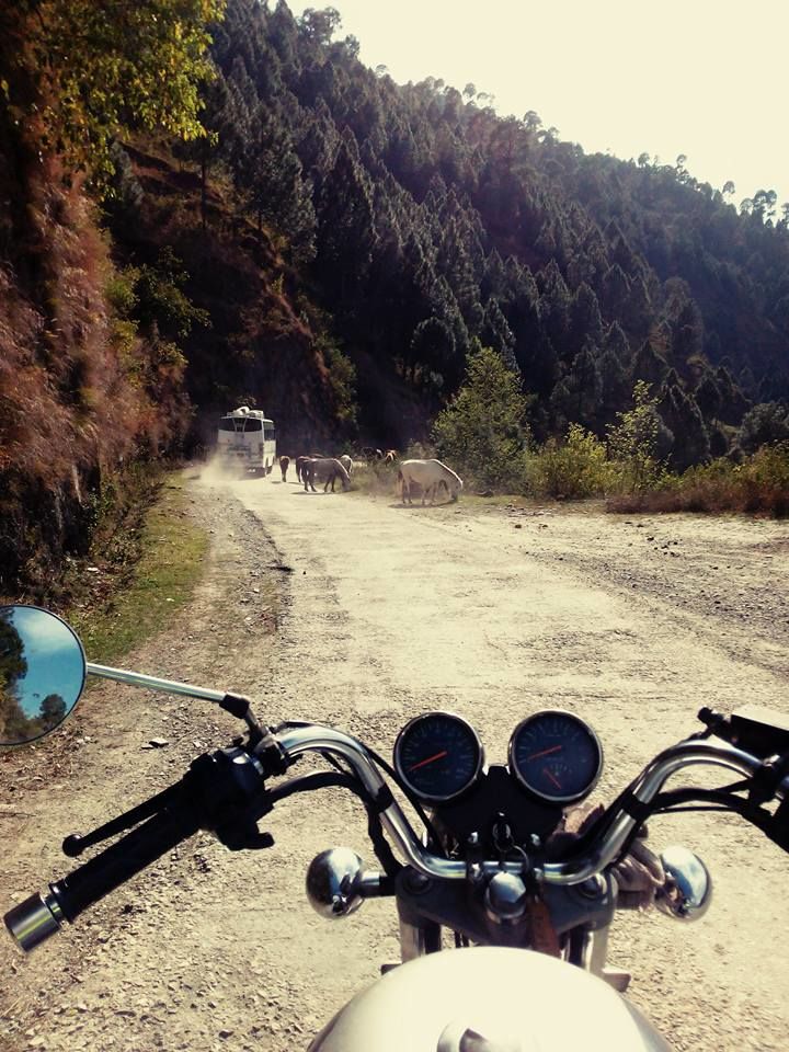 Photo of The Road, Valley and People of ‘Uttarakhand’ - A Solo Bike Journey 110/158 by Debashish Baidya