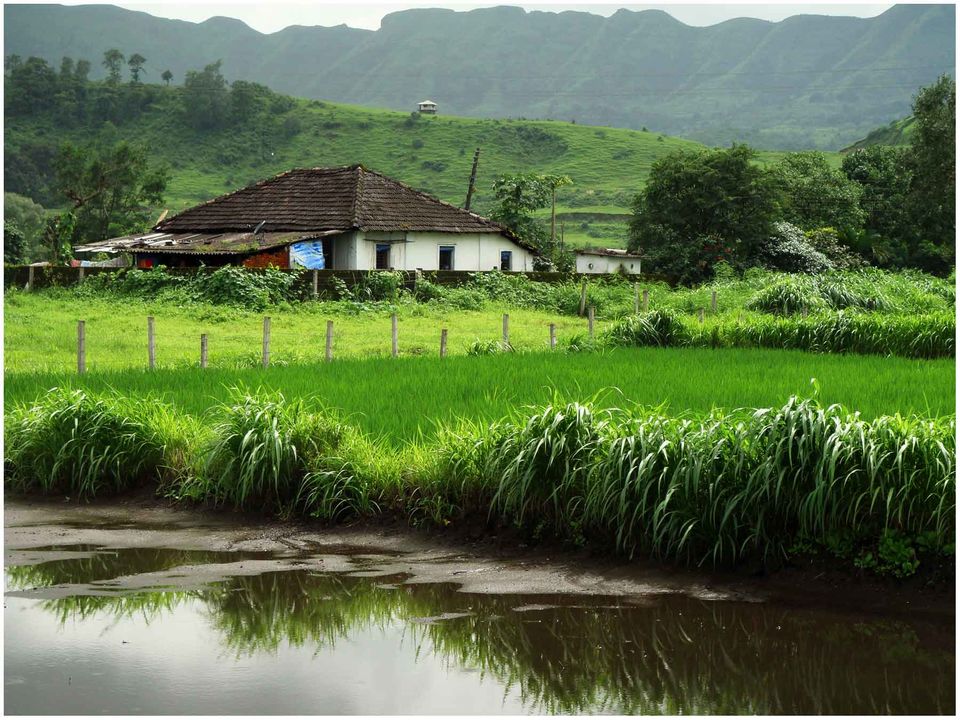 Photo of Best Hill Stations near Mumbai 3/9 by Divya