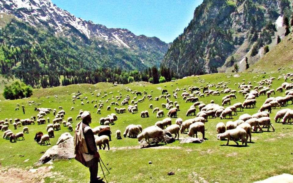 Photo of When I Visited Heaven on Earth, Kashmir 36/36 by Sudip Majumder