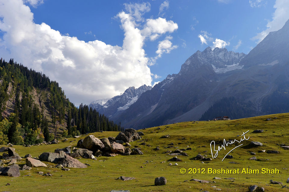 Photo of 8 Spectacular Road Trips In India You Absolutely Need To Take This Summer To Chill The Fish Out 9/11 by Gunjan Upreti