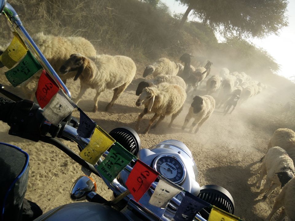 Photo of The Gujarat on Two Wheels 29/51 by Sachendra Pal
