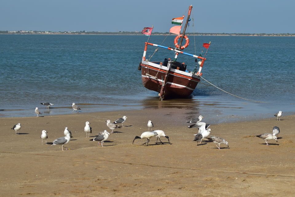 Photo of The Gujarat on Two Wheels 42/51 by Sachendra Pal