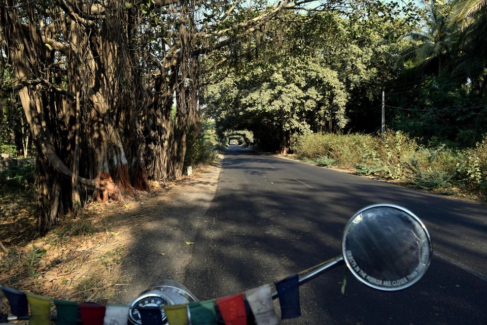 Photo of The Gujarat on Two Wheels 46/51 by Sachendra Pal
