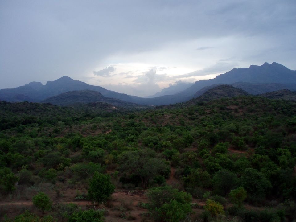 Photo of Anaimalai, Tamil Nadu, India by Saurav