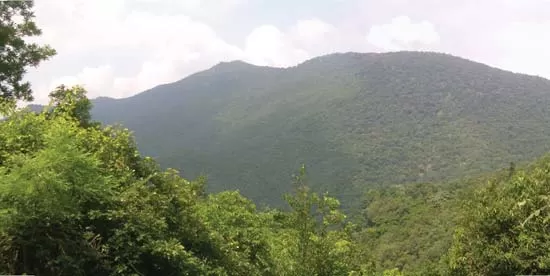 Photo of Javadi Hills, Bheemakulam, Tamil Nadu, India by Saurav
