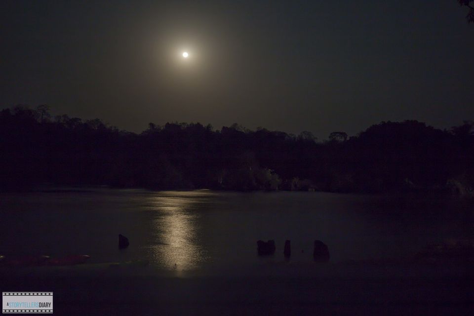 Photo of Dandeli : A Jungle visit 11/16 by yogesh pilankar