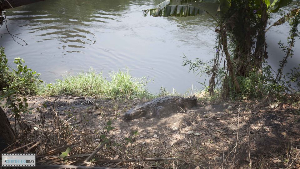 Photo of Dandeli : A Jungle visit 15/16 by yogesh pilankar