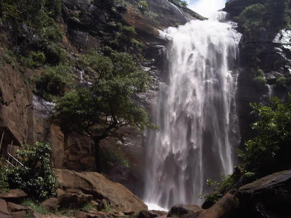 Photo of Kolli Hills, Tamil Nadu, India by Saurav