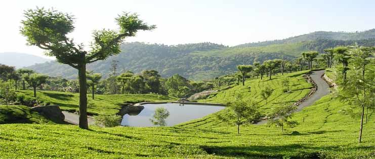 Photo of Kotagiri, Tamil Nadu, India by Saurav