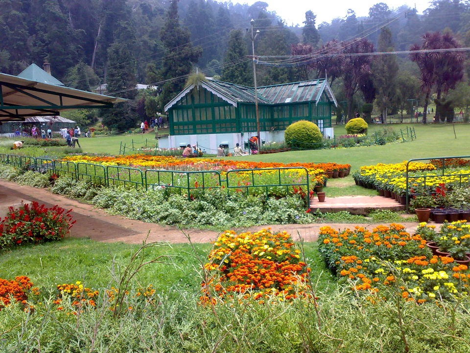 Photo of Ooty, Tamil Nadu, India by Saurav