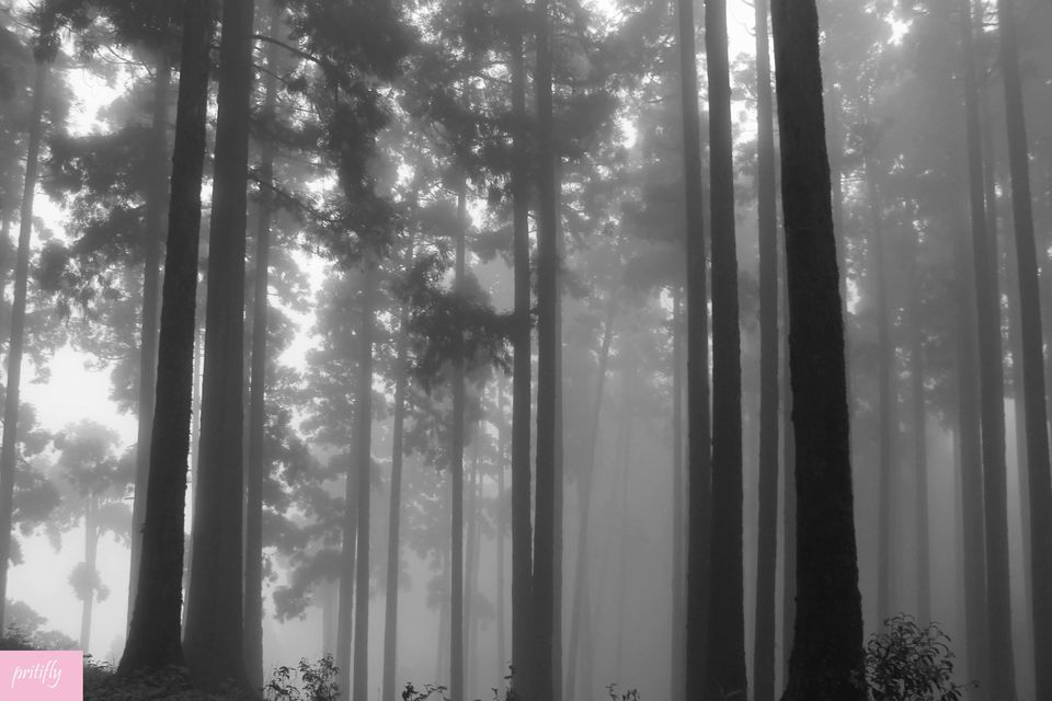 Photo of Visit These Spooky Places in India 3/10 by Ash Kapoor