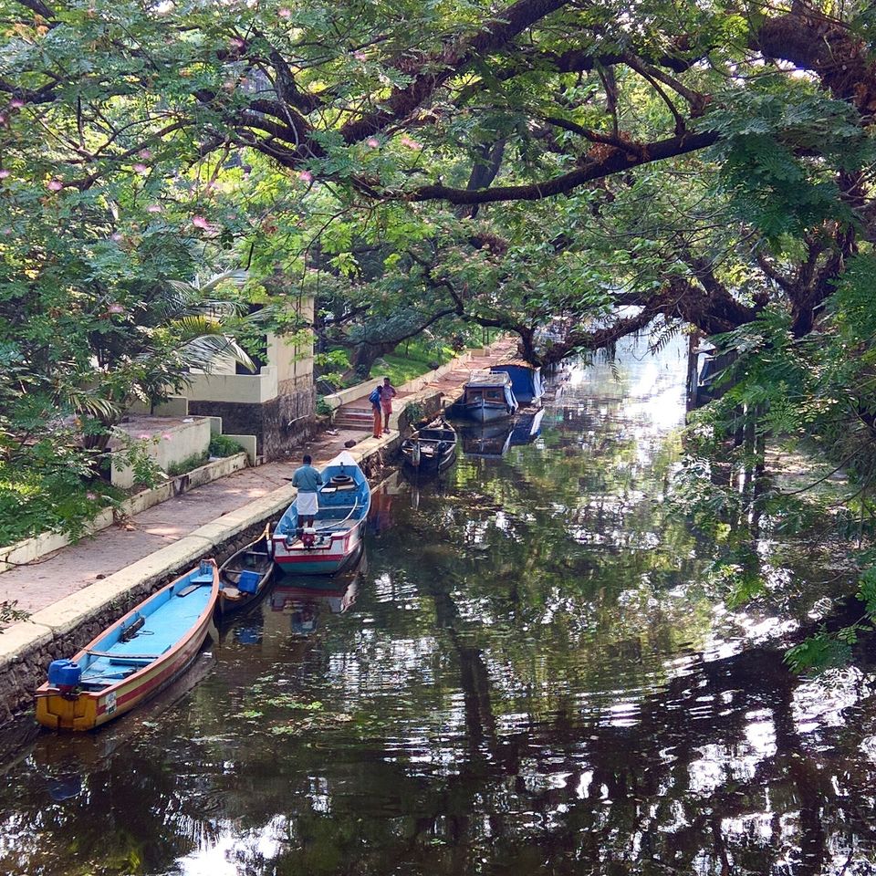 Photo of Vacationing the Kerala Backwaters 1/9 by Amul Garg