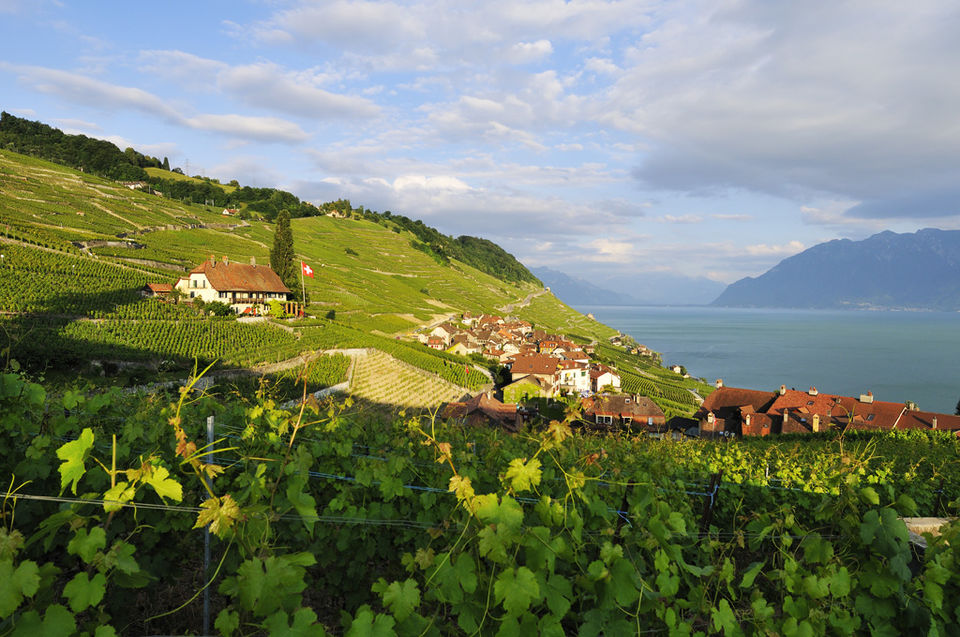 Photo of Romancing Europe 31/45 by Travel+Leisure India & South Asia