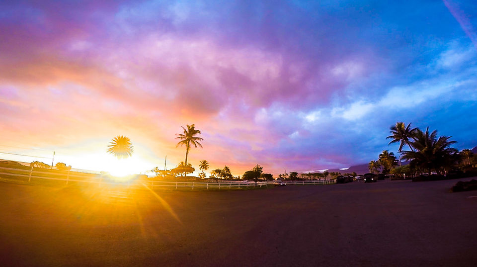 Photo of Zip Lining in Jurassic Park on Oahu, Hawaii 2/6 by Jackson Groves