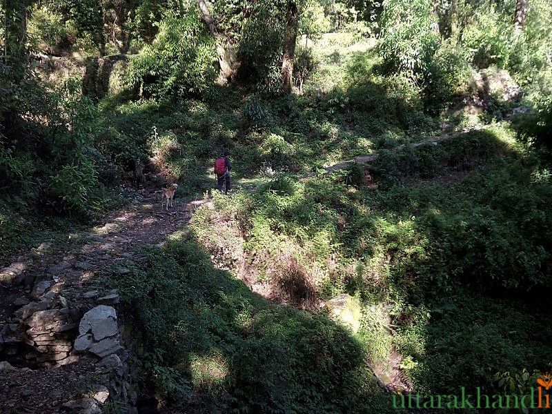 Photo of Chopta Tales 12/18 by Abhay Kapkoti
