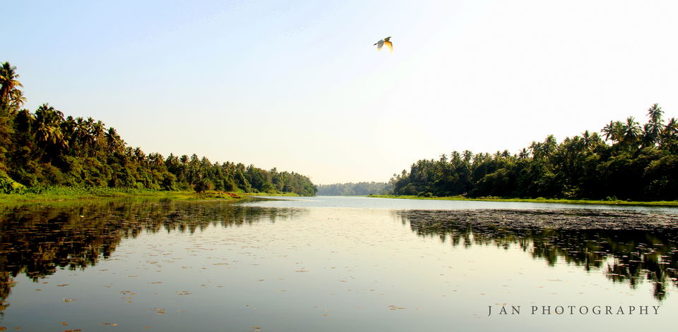 Photo of 30 Hidden Gems in India to Visit Before You Die 9/30 by Sreshti Verma