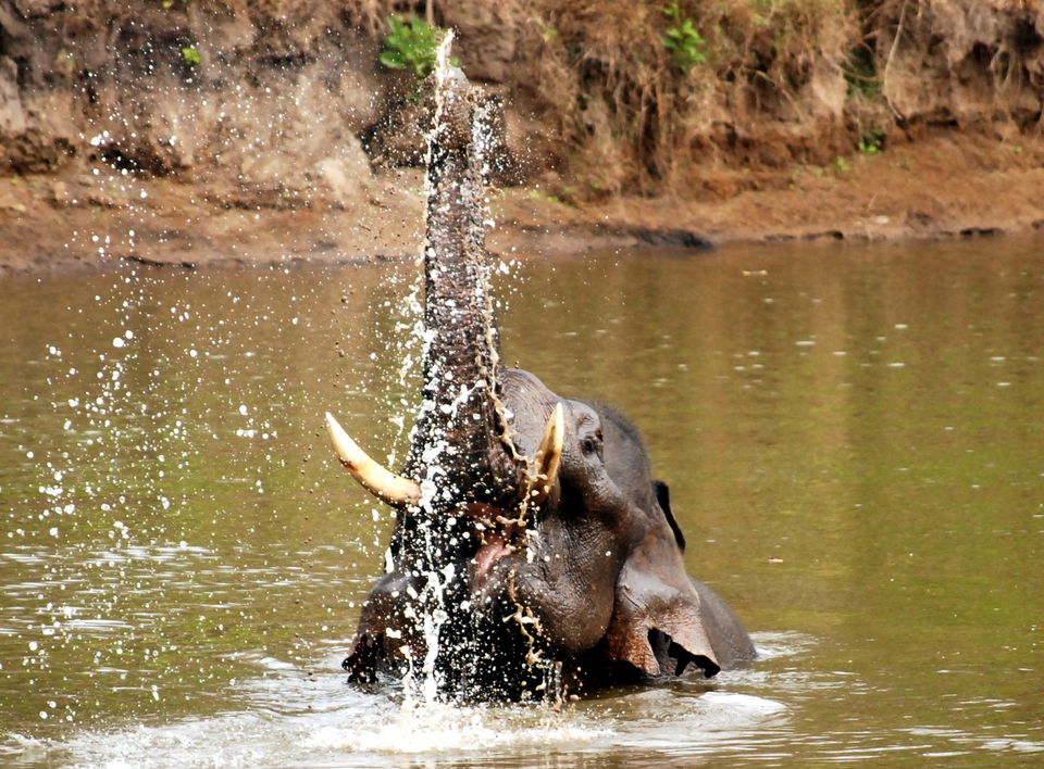 Photo of 30 Hidden Gems in India to Visit Before You Die 10/30 by Sreshti Verma