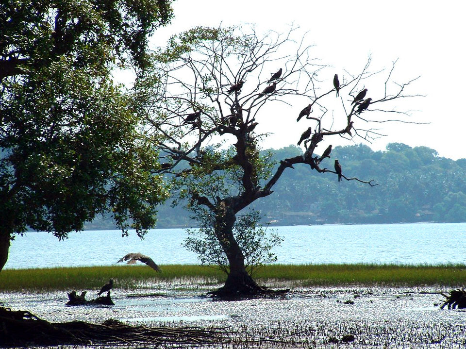 Photo of 30 Hidden Gems in India to Visit Before You Die 13/30 by Sreshti Verma