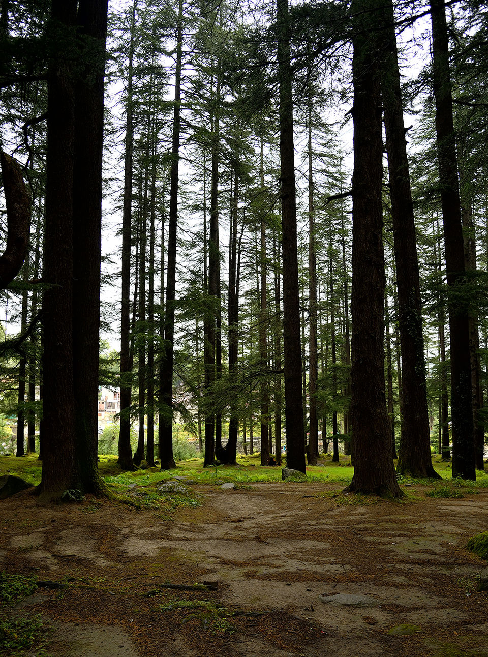 Photo of An incredible journey to Spiti 5/79 by Nimit Nigam